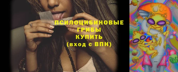 прущий лед Верея