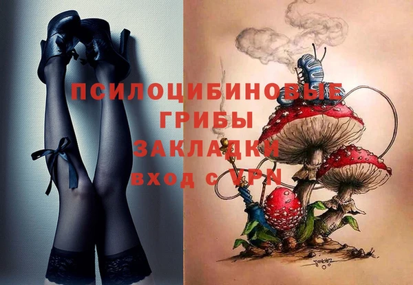 прущий лед Верея
