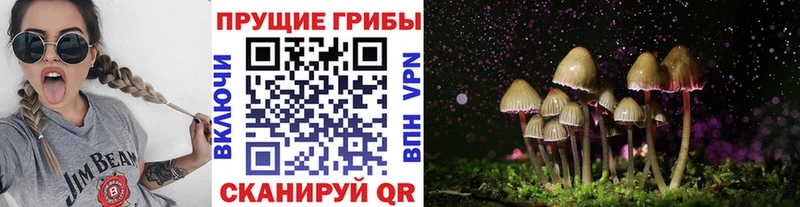 купить   Верхняя Пышма  кракен вход  Псилоцибиновые грибы мухоморы 