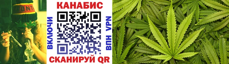 Конопля гибрид  Верхняя Пышма 